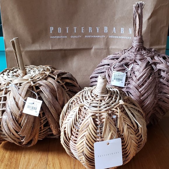 Pottery Barn Fall Thanksgiving Harvest Halloween Woven Rattan Pumpkins - Picture 1 of 5